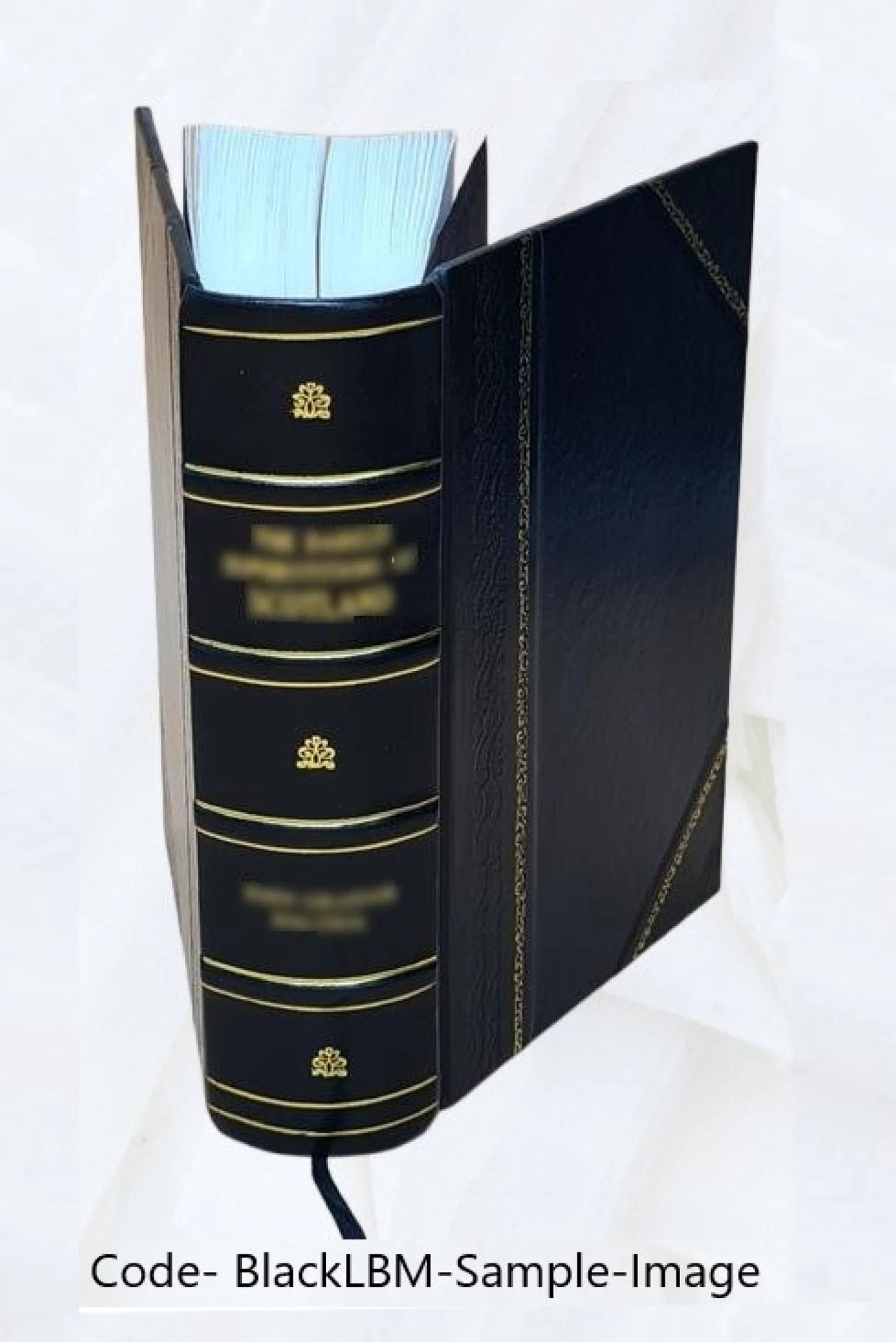 A wild-goose chase. A farce, in two acts. First performed at the Theatre Royal, Drury-Lane, on Tuesday, Nov. 21, 1820. 1820 [Leather Bound]