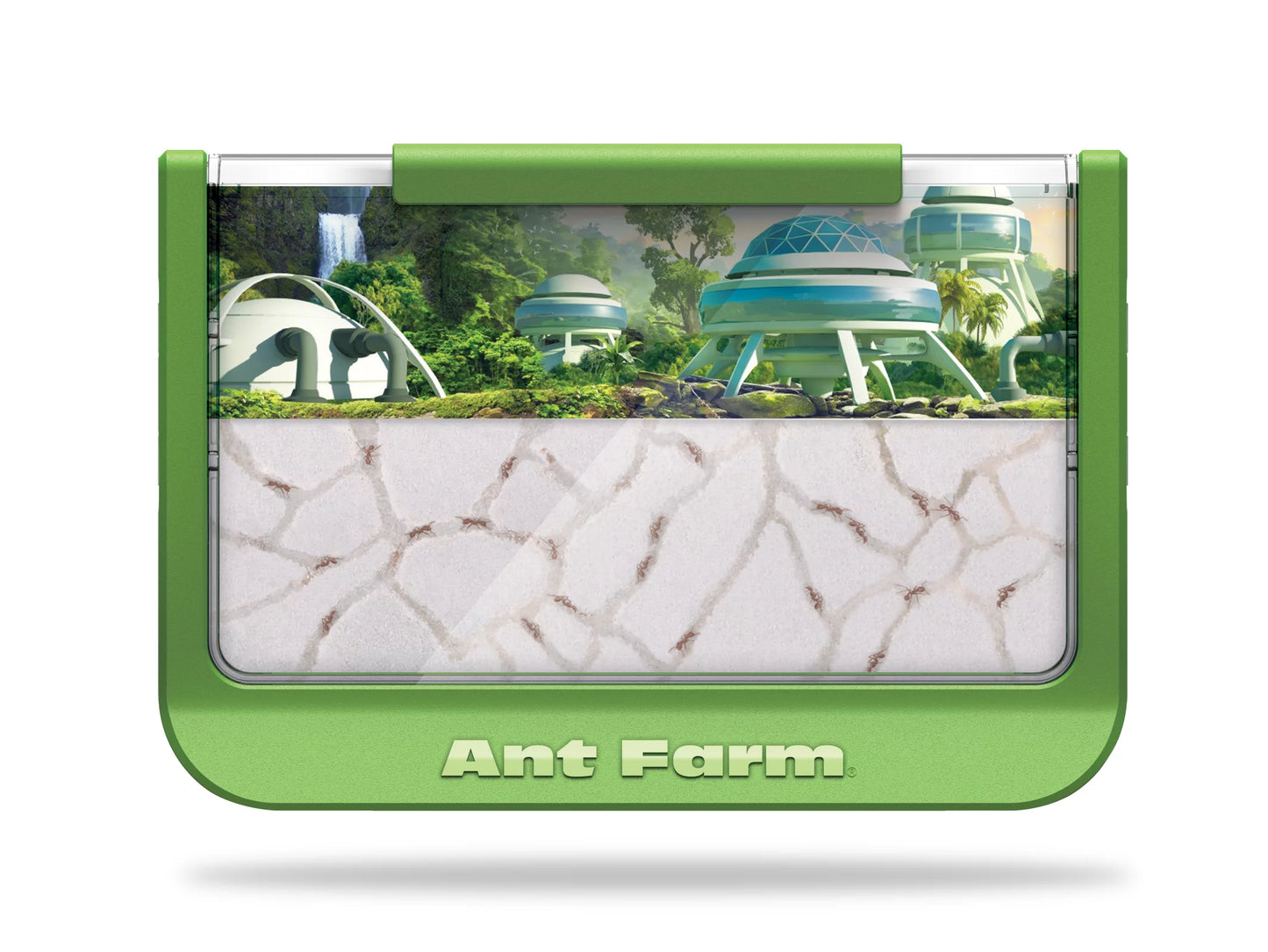 Ant Farm - Rainforest - Green - Uncle Milton Scientific Educational Toy