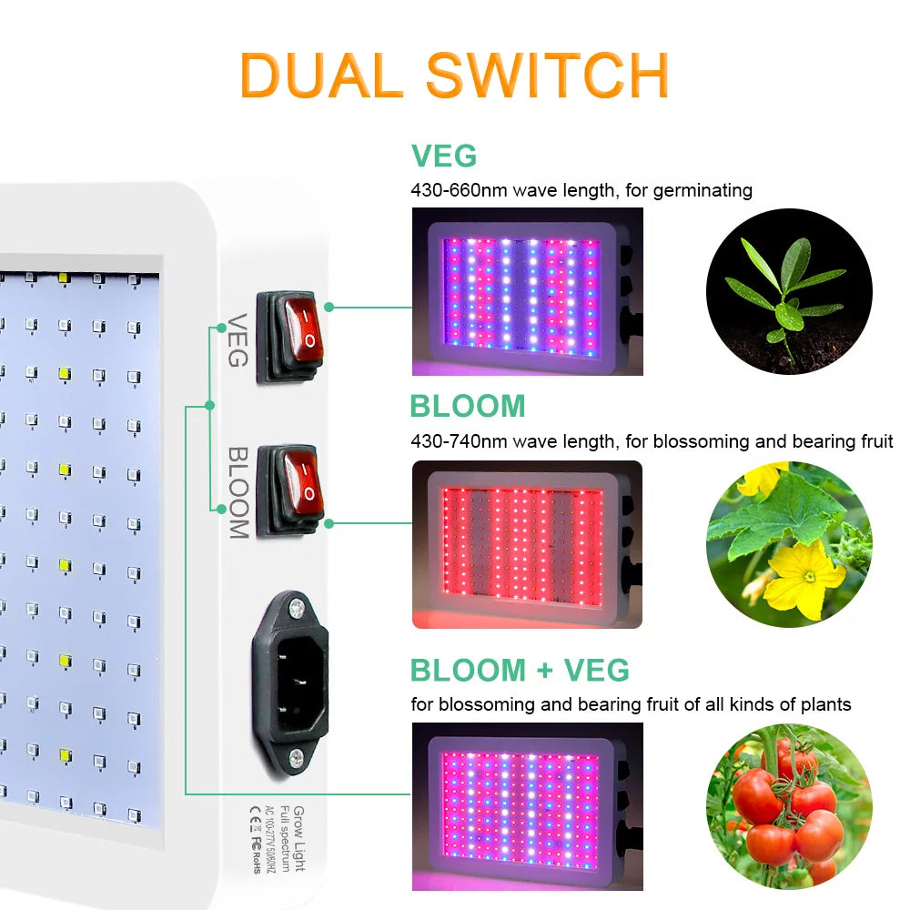 2000W LED Grow Light for Indoor Veg Plants Growing Lamp 312LEDs Full Spectrum IP65 Liquid for Seedlings Flowers Greenhouse