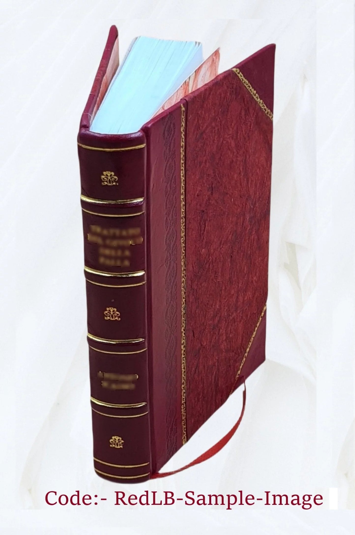 Apologia degli Accademici di Banchi di Roma contro M. Lodovico Castelvetro ... 1819 [Leather Bound]